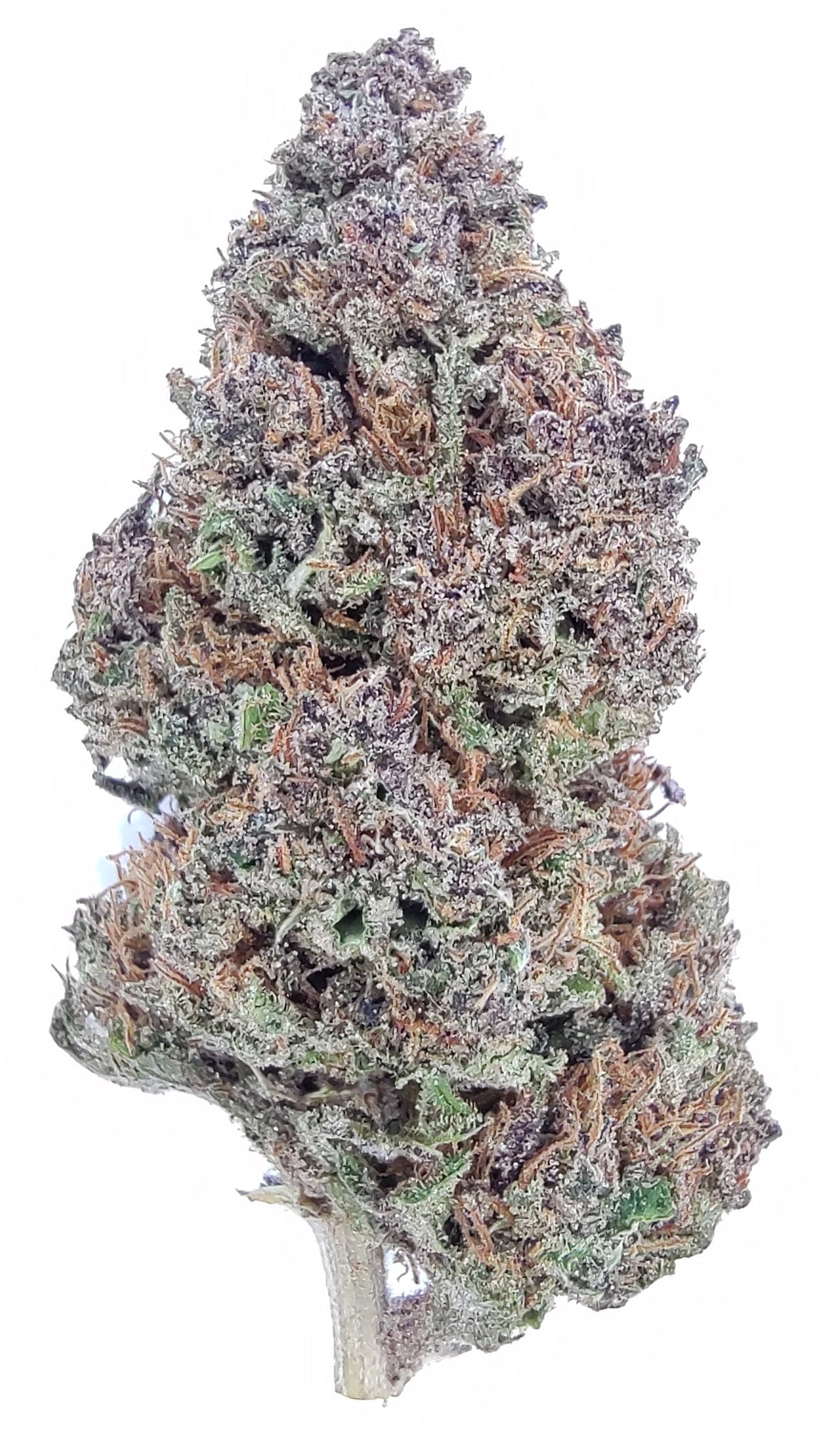 Rainbow Sherbet